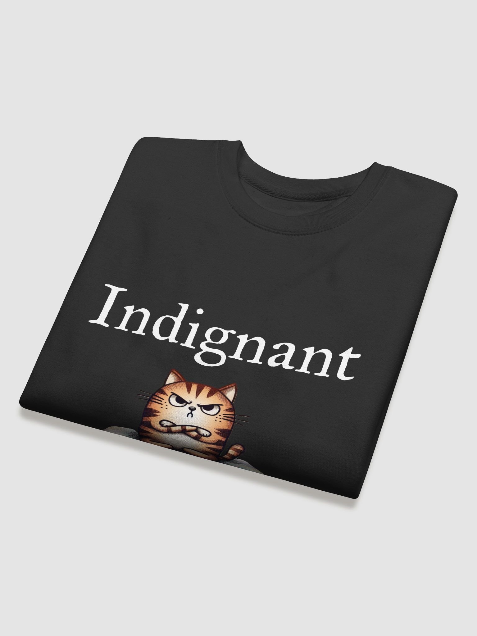 Indignant Sweatshirt product image (4)