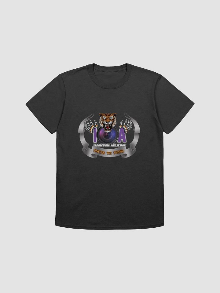Ironton Auditor T product image (1)
