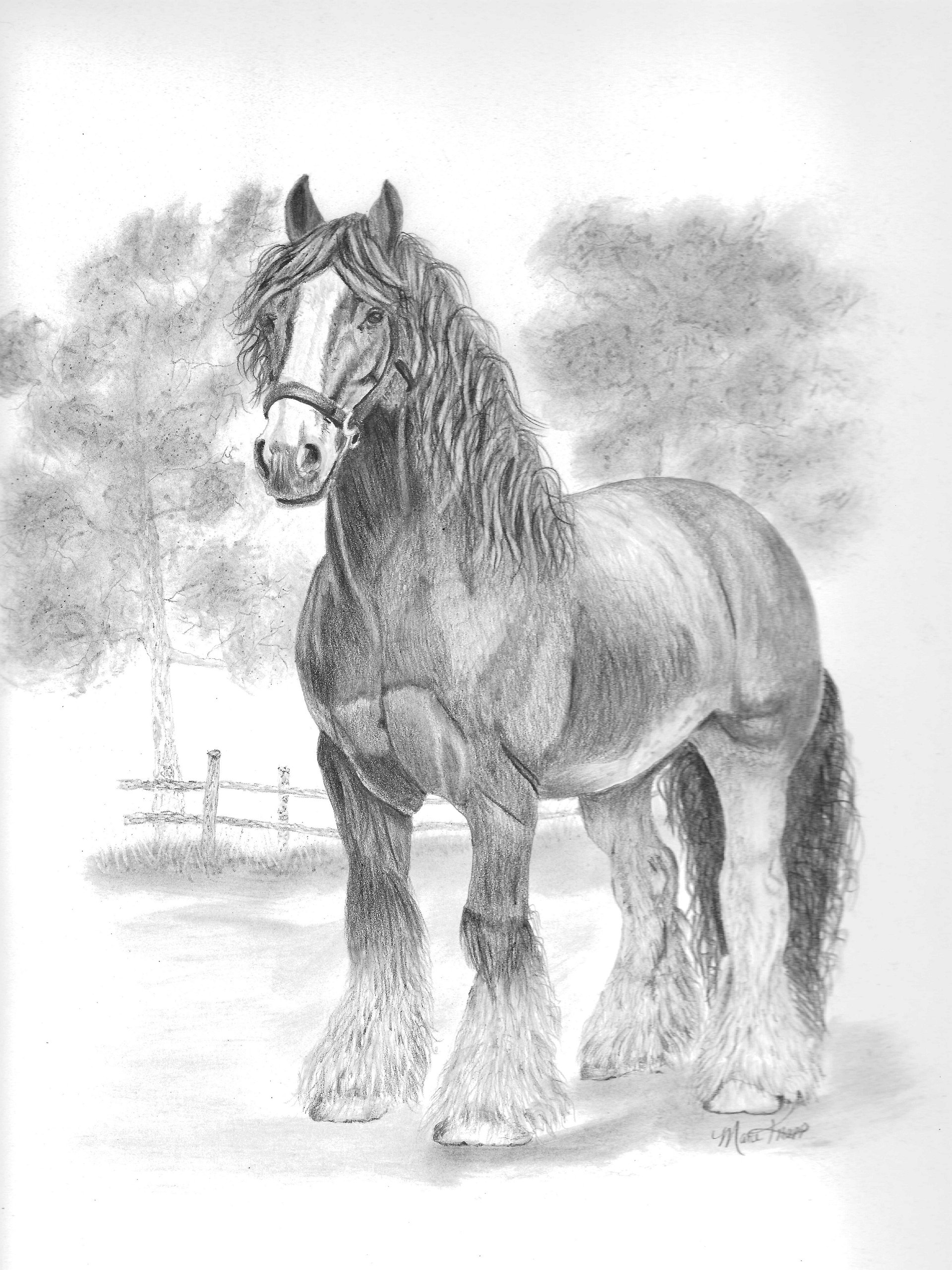 Clydes in the Dale - Original Graphite Drawing product image (2)