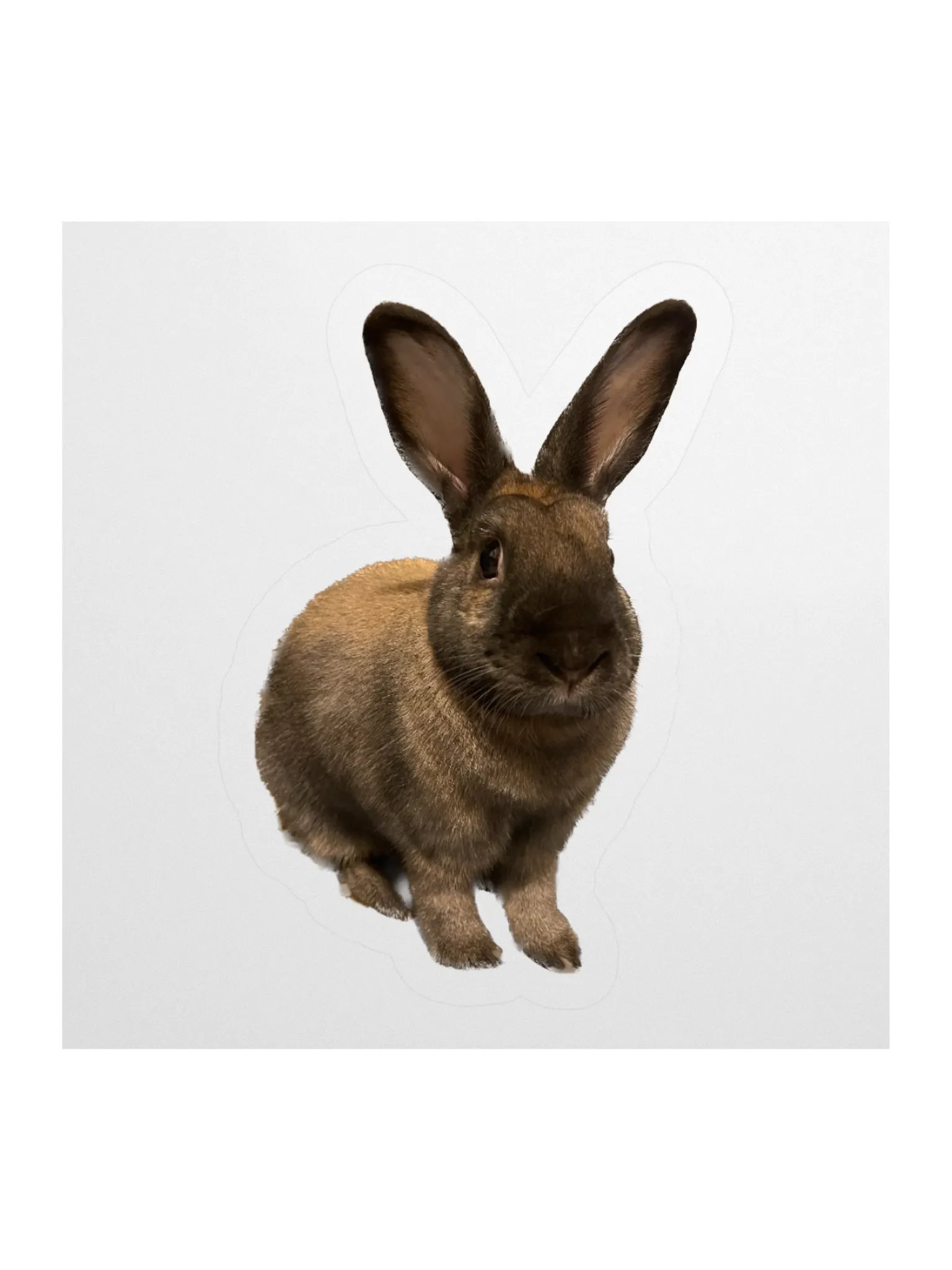 Caramel stickies product image (3)