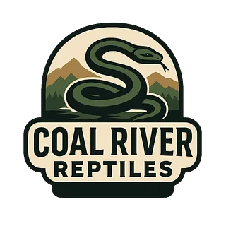 Coal River Reptiles