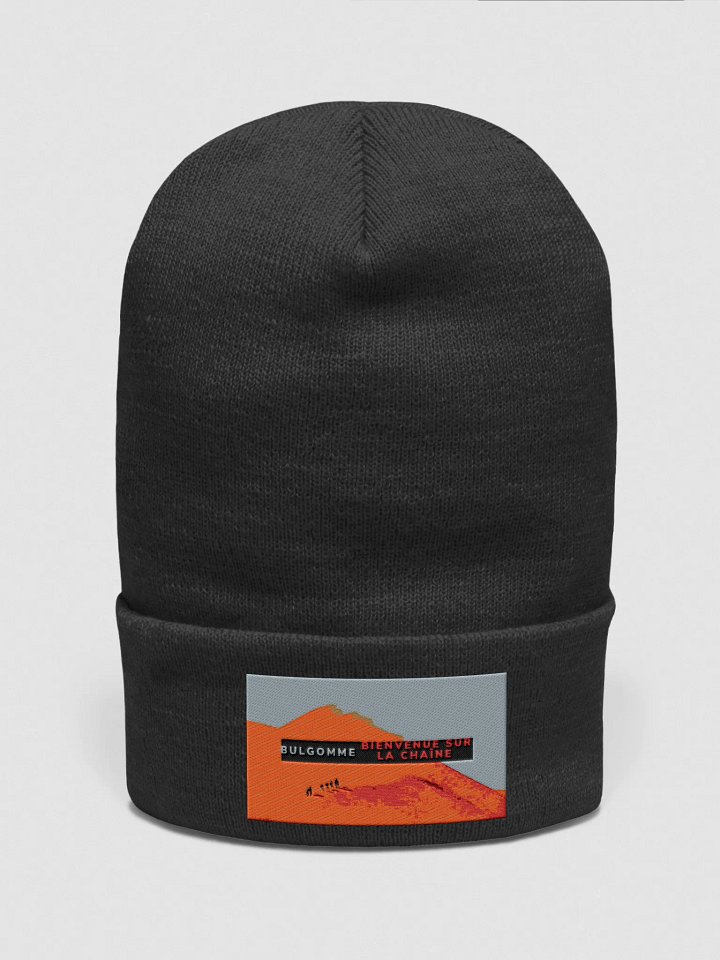 BULGOMME GOMME product image (1)