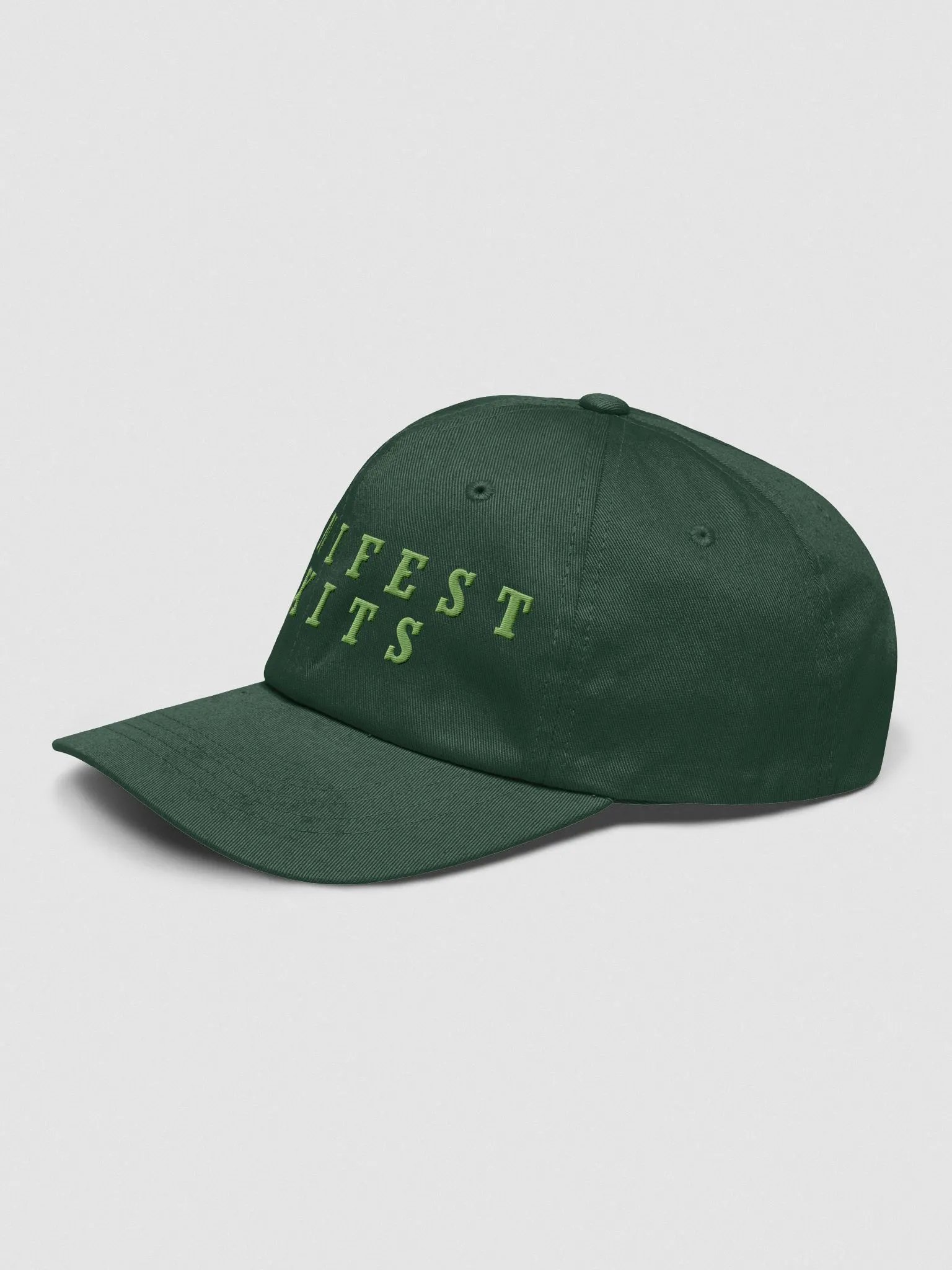 Manifest Exits Dad Hat | Founder45 product image (3)