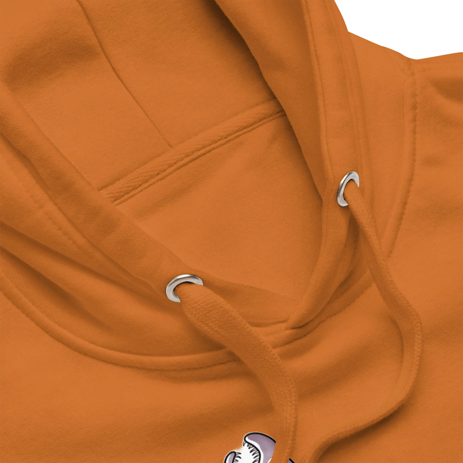 Salmon Run Premium Unisex Hoodie by Cassandra Miller product image (114)