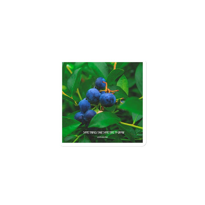 Some things take some time to grow- Wild Blueberry Magnet product image (1)