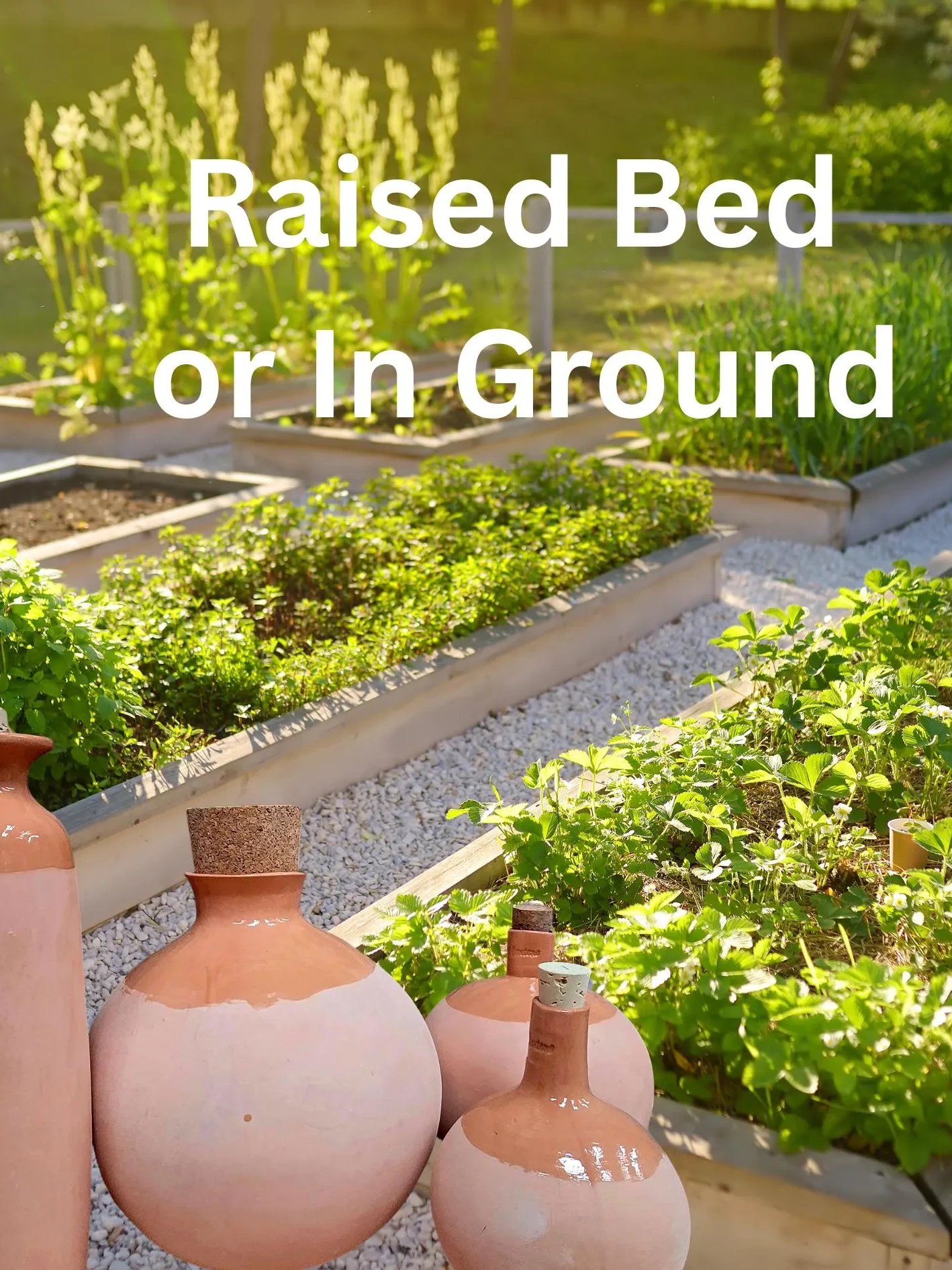 XL Garden Olla Watering product image (5)