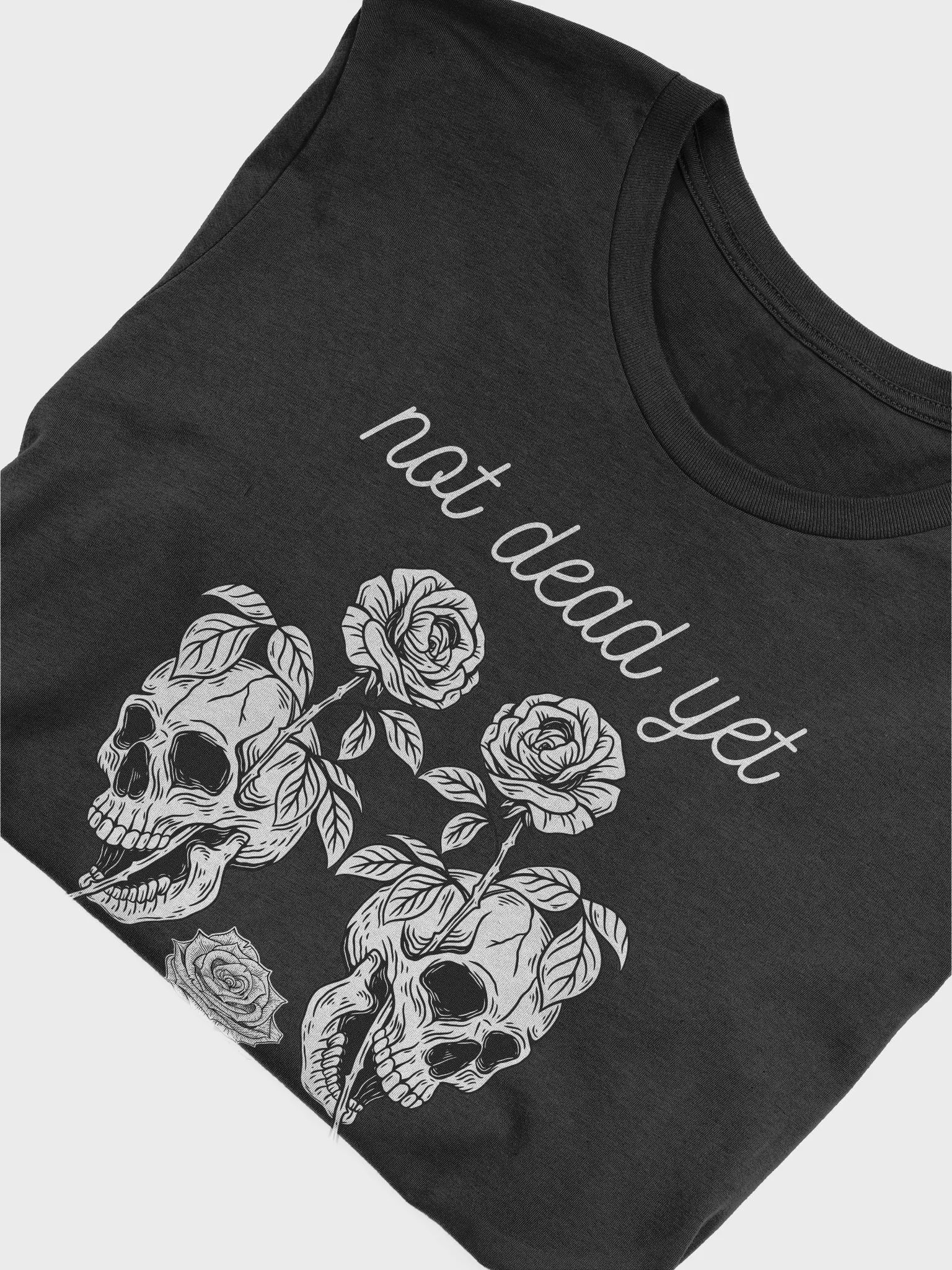 comeherefloyd Music Life / Not Dead Yet Reflection product image (3)