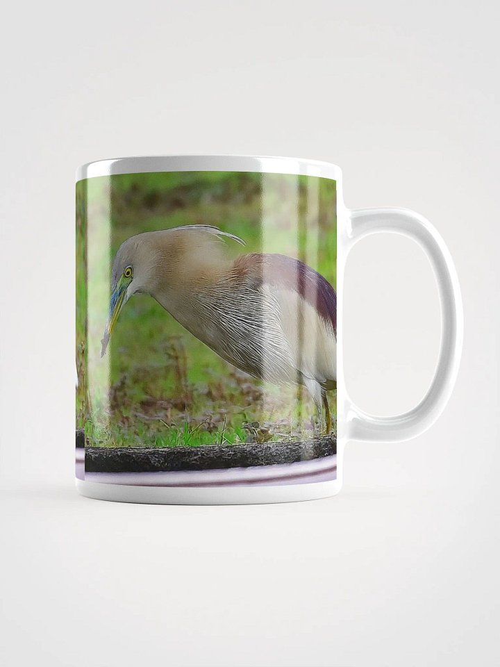 IUCAA Birds MUG product image (1)