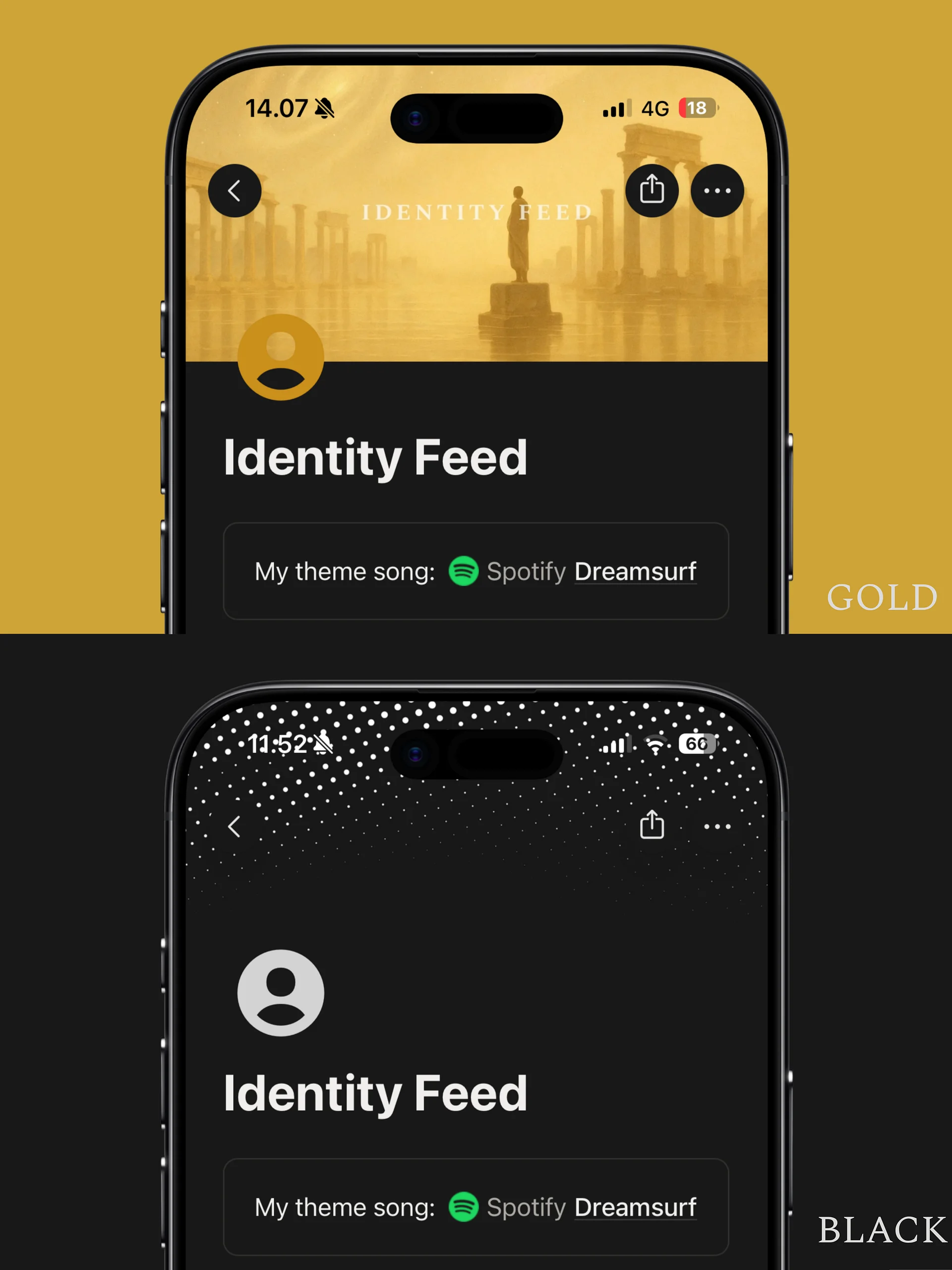 Identity Feed product image (6)