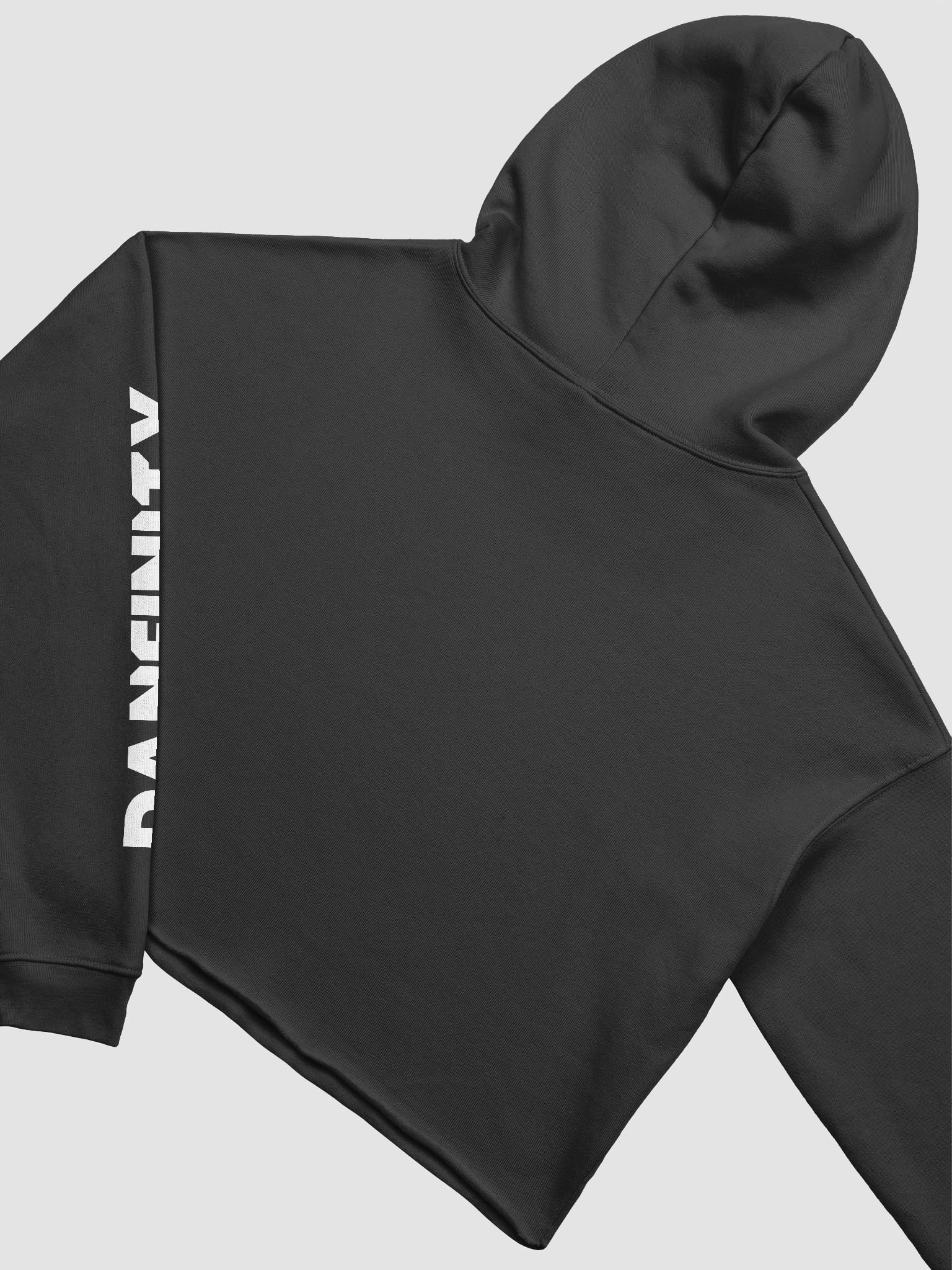 Danfinity Logo Crop Hoodie product image (4)