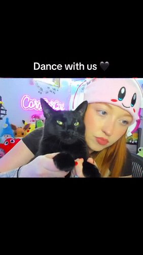 Fasso loves to dance 

#blackcat #streamer