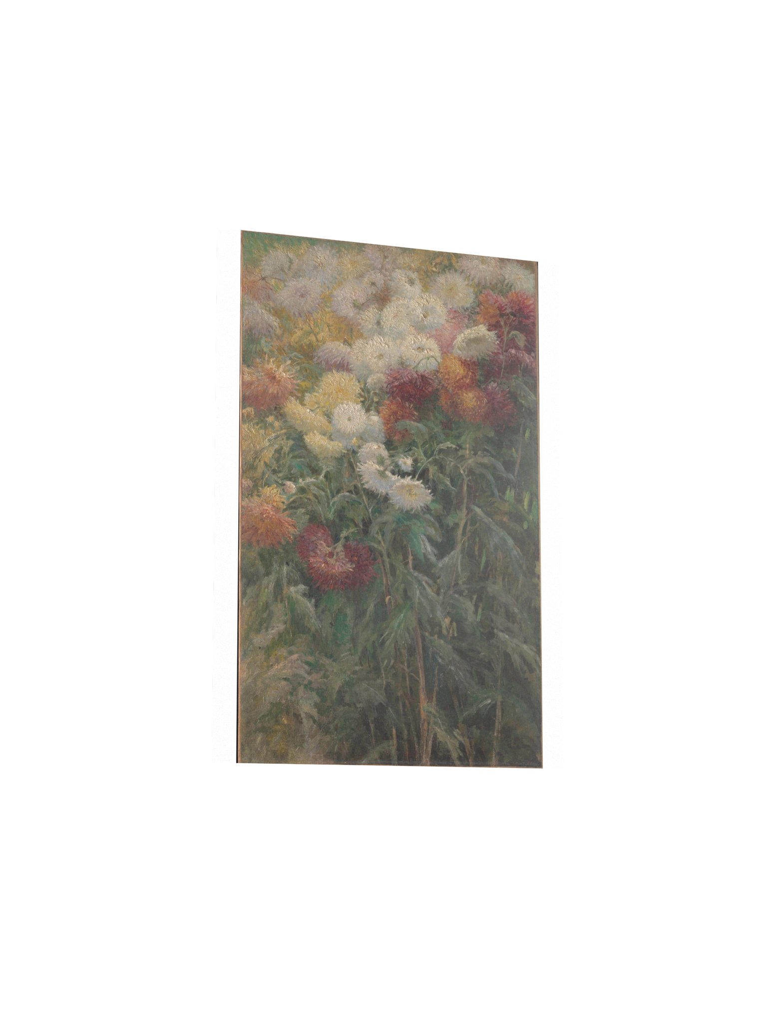 Caillebotte, Chrysanthemums in the Garden at Petit-Gennevilliers — Fine-Art Poster product image (12)