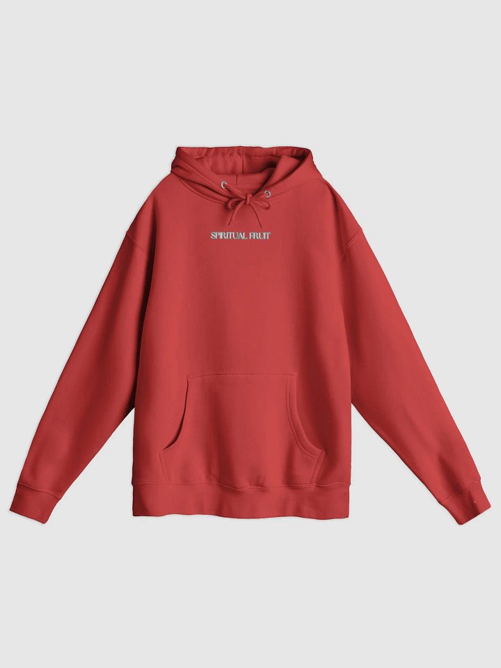 Spiritual Fruit - Premium Pullover Hoodie product image (1)