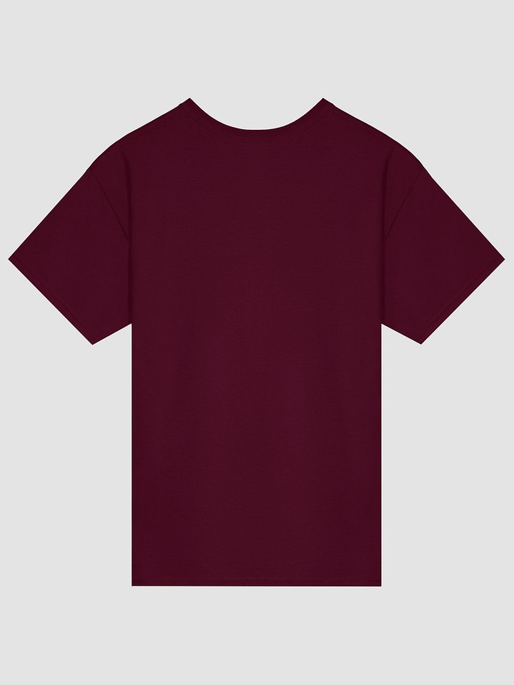 No Hate Like Christian Love! - Shirt product image (2)