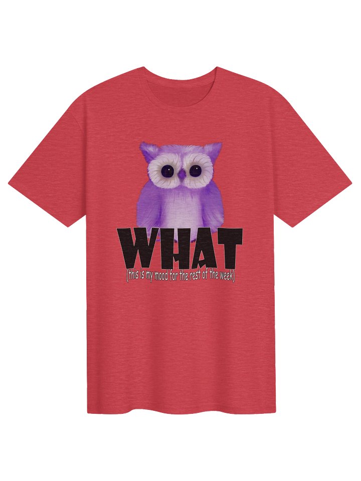 Unisex Gildan Softstyle T-Shirt product image (1)