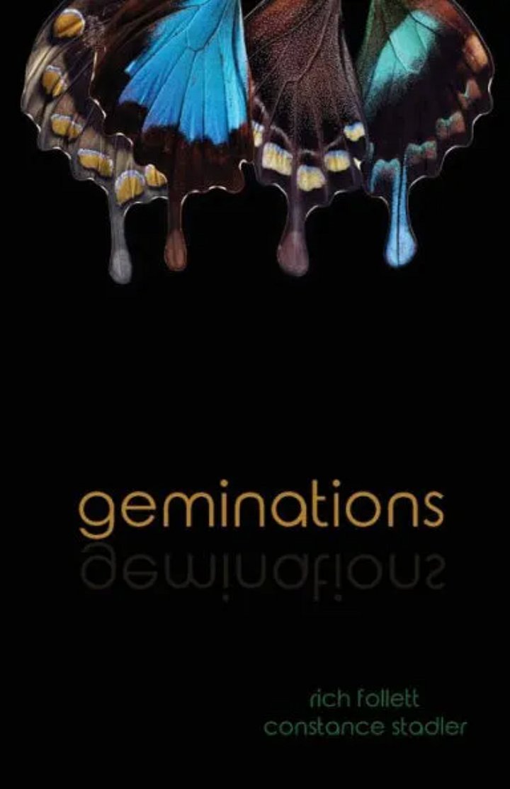 geminations product image (1)