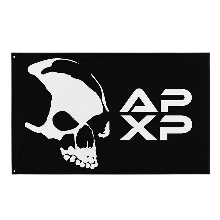 Armada Skull APXP All-Black Flag product image (1)