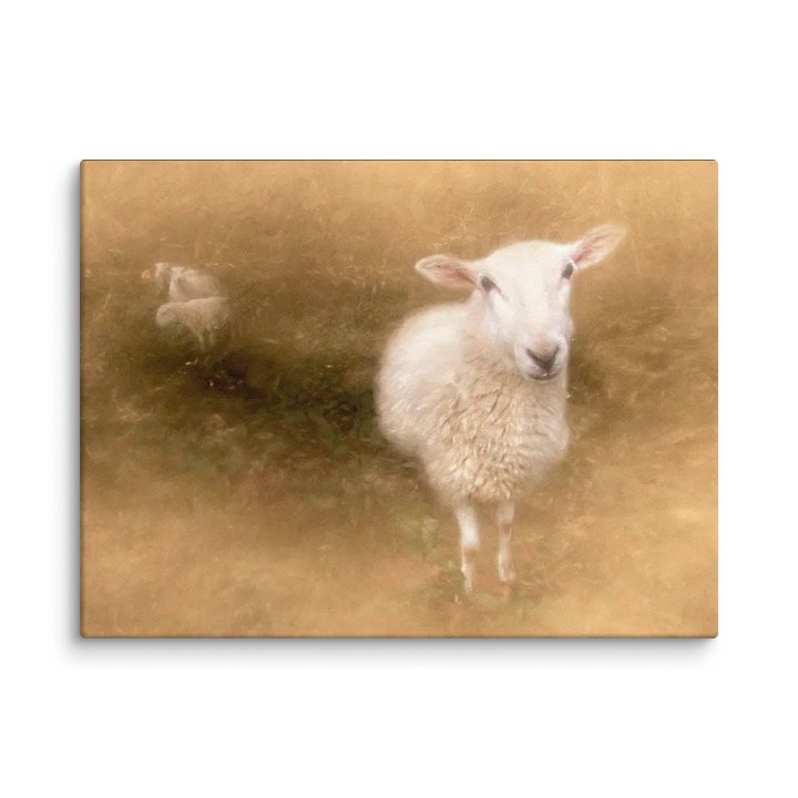 Pastoral Sheep Canvas product image (1)