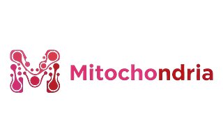 Mitochondria Finance | Powering Women’s Financial Future