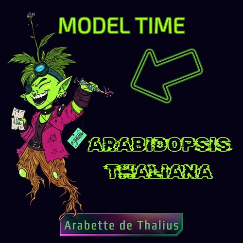 En : Arabidopsis thaliana, is a small flowering plant that holds a major place in biology. For several decades, scientists ha...