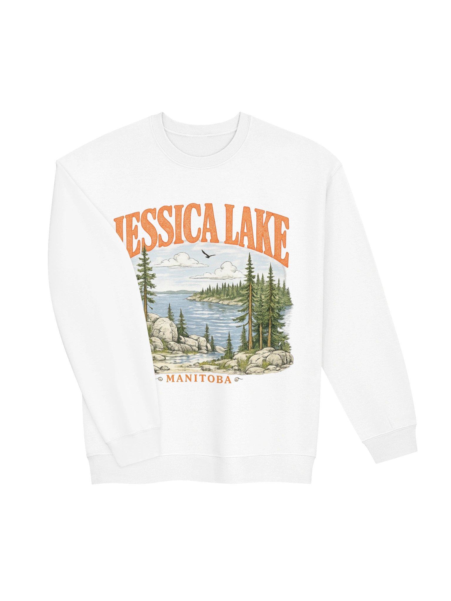 Jessica Lake Manitoba Vintage Crewneck product image (4)