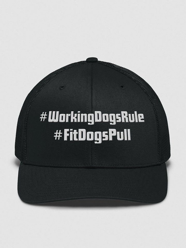 # Tag Hat product image (1)
