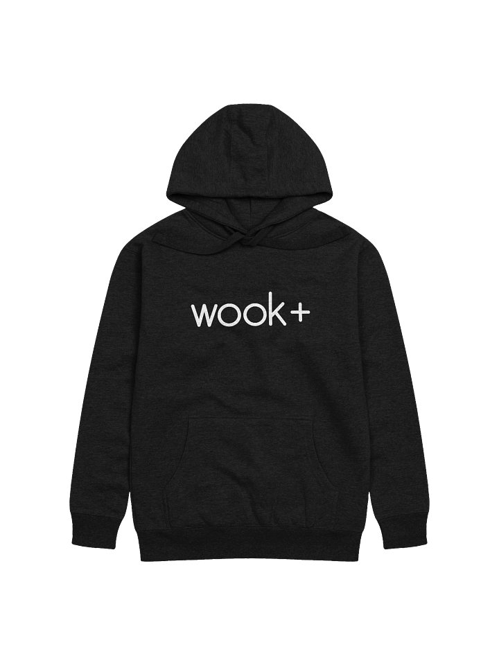 wook+ Classic Hoodie product image (2)