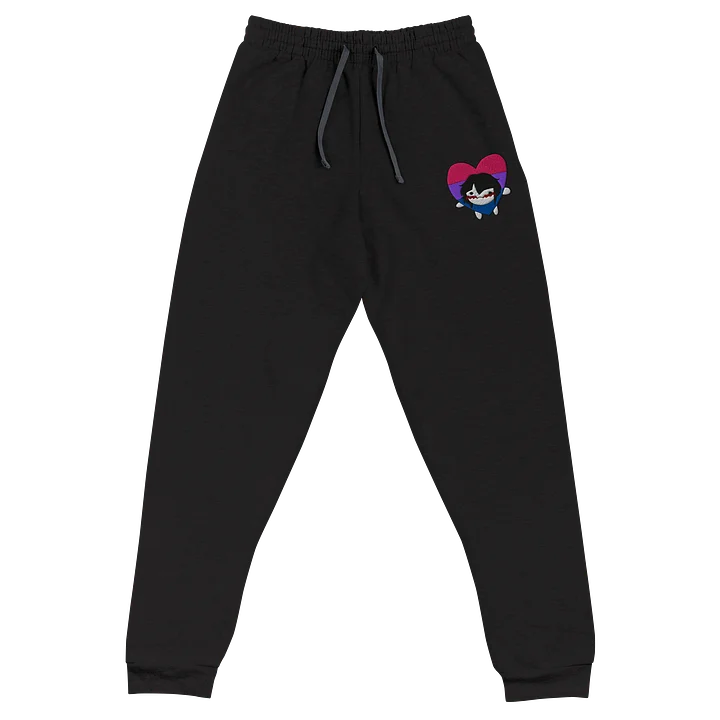 PeoVRC Bi Heart Pride Embroidered Joggers product image (1)