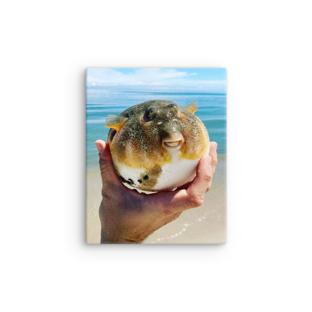 Northern Puffer product image (12)