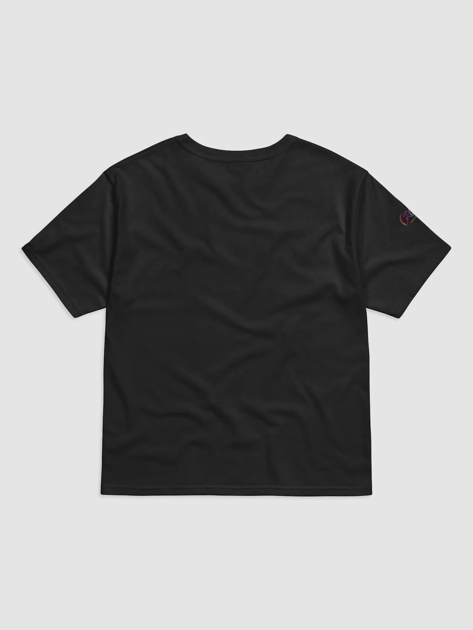 Born to Dance His Silhouette Champion Tee product image (4)