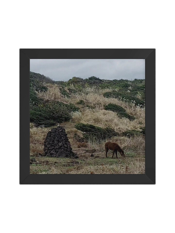 Earth product image (1)