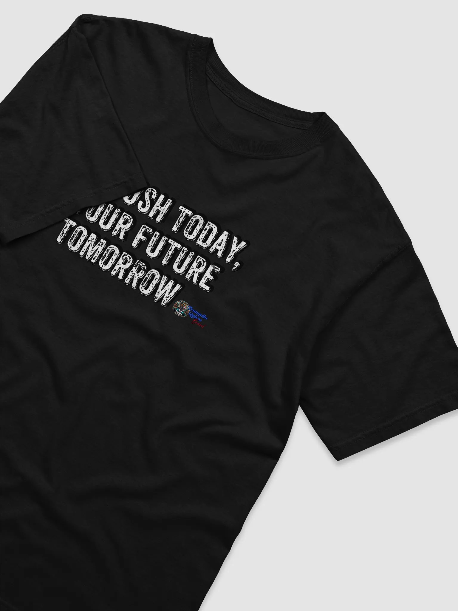"A Push Today" Graphic Tee - Tranquilo Quieto Brand product image (3)
