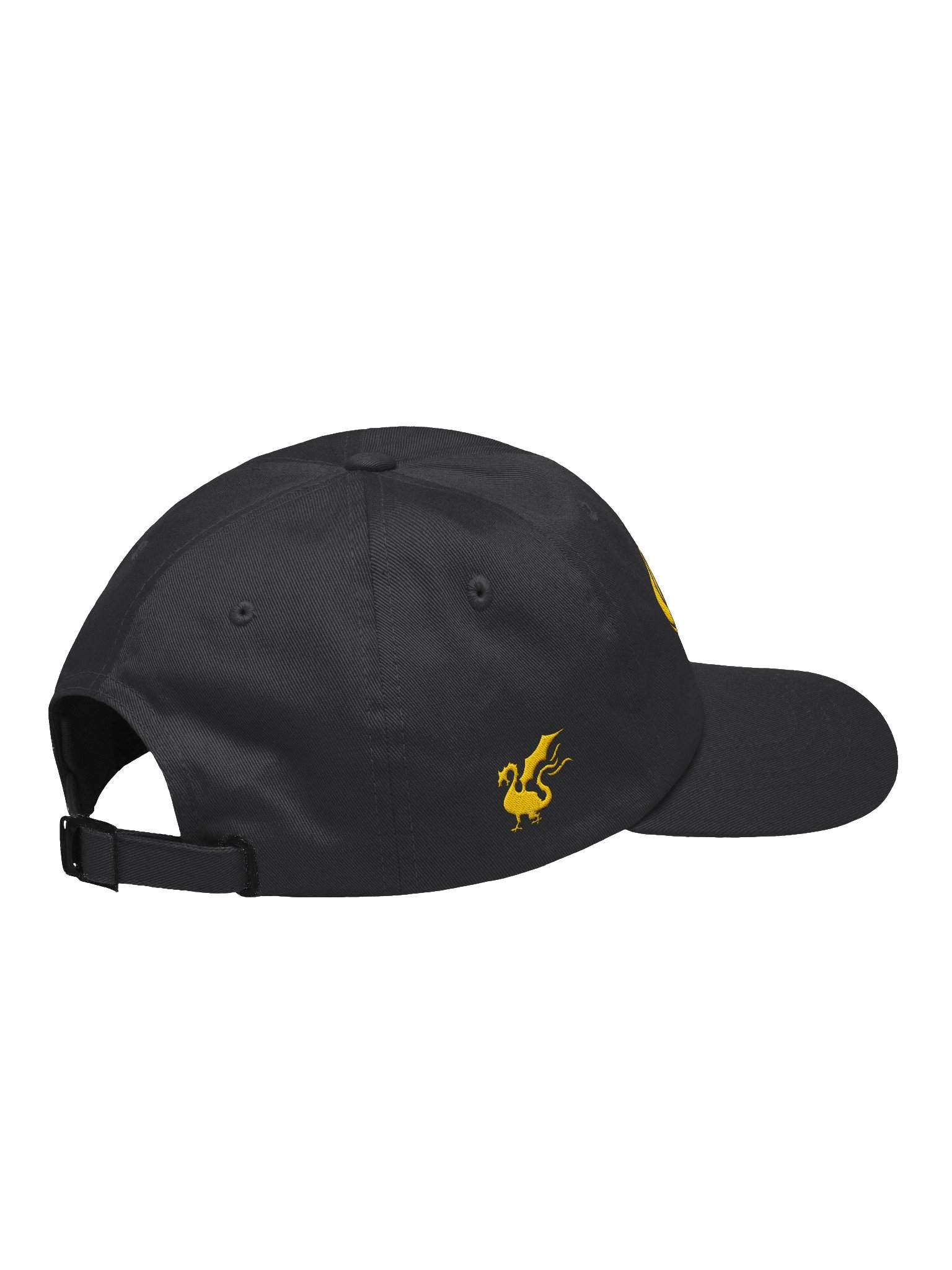 Infinights 5 Year Anniversary Embroidered Hat product image (10)