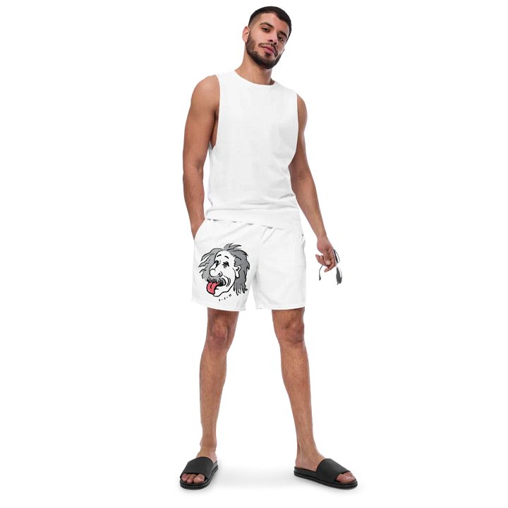 The Genius Himself product image (2)