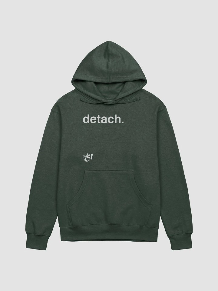 detach. hoodie product image (1)