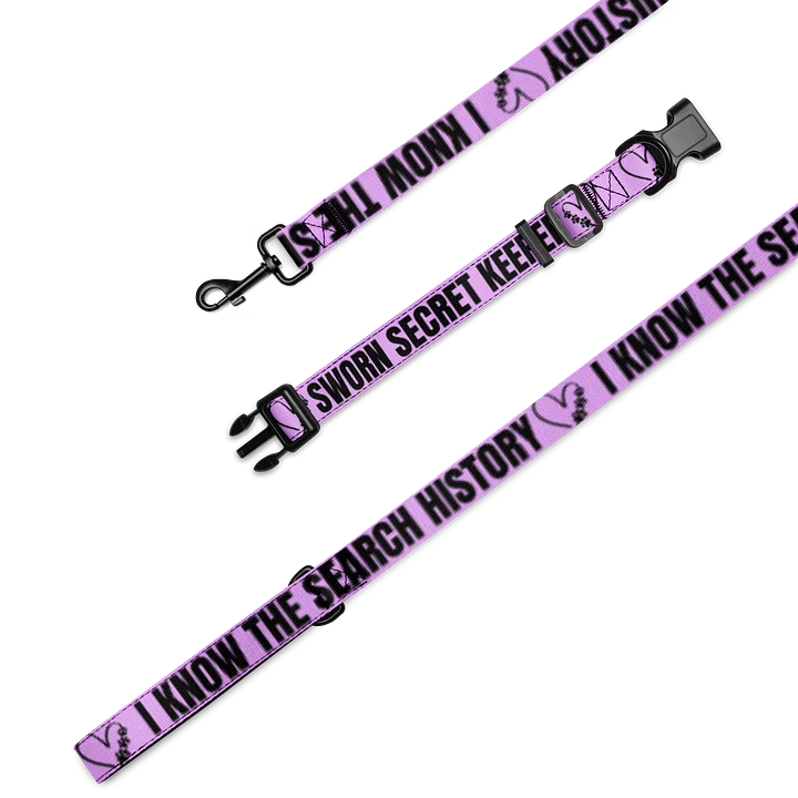 Sworn Secret Keeper Dog Collar & Leash Set product image (1)