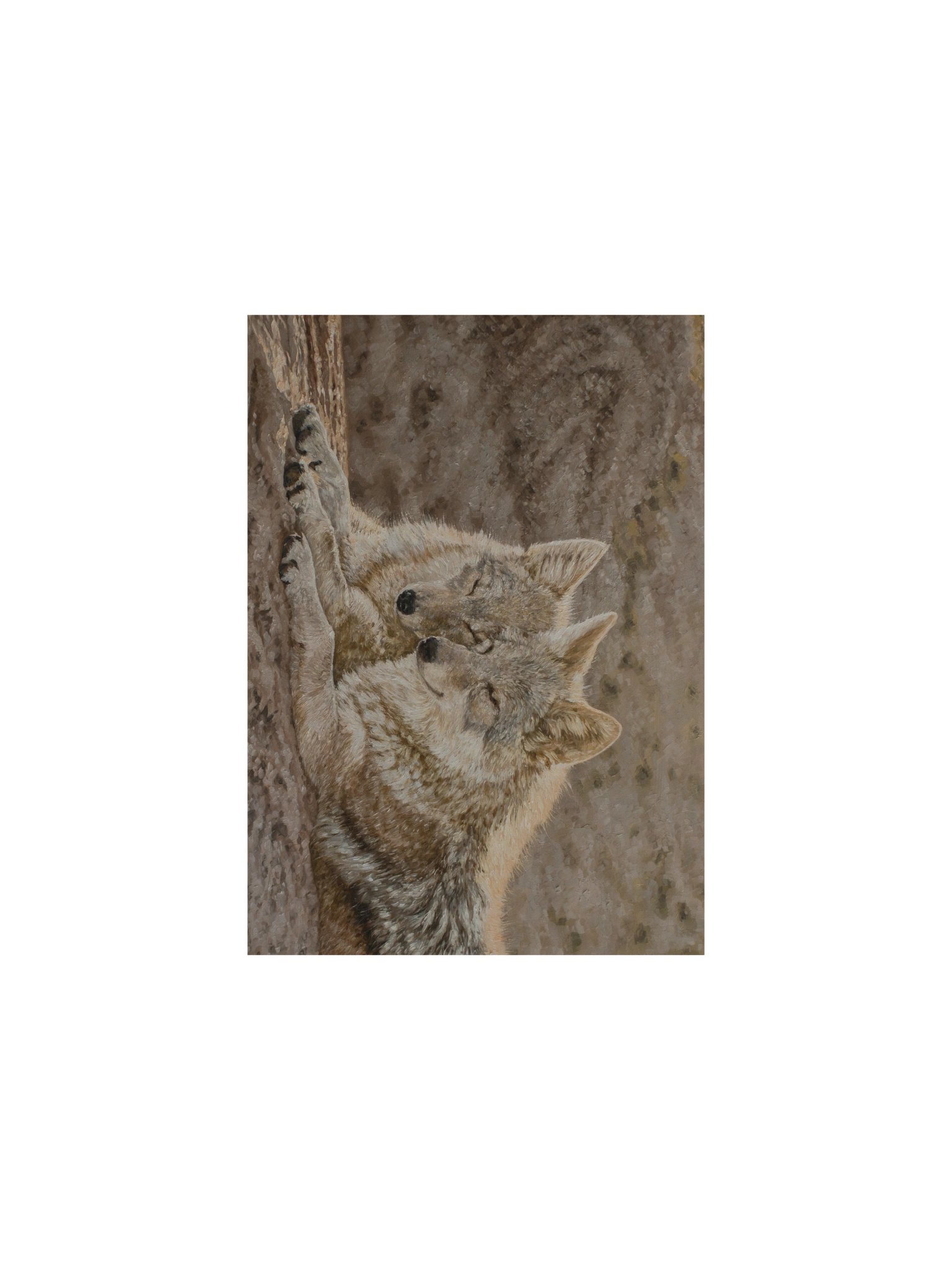 Basking Print product image (1)