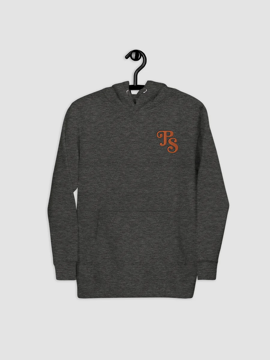 Popular Science Retro Logo Embroidered Hoodie product image (4)