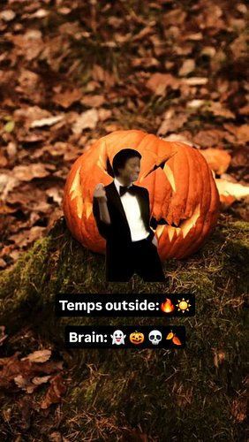 Please send help and Reese's pumpkins🫠🥵 🎃 

#halloween 
#spooky
#fall
#ghost
#spookyvibes