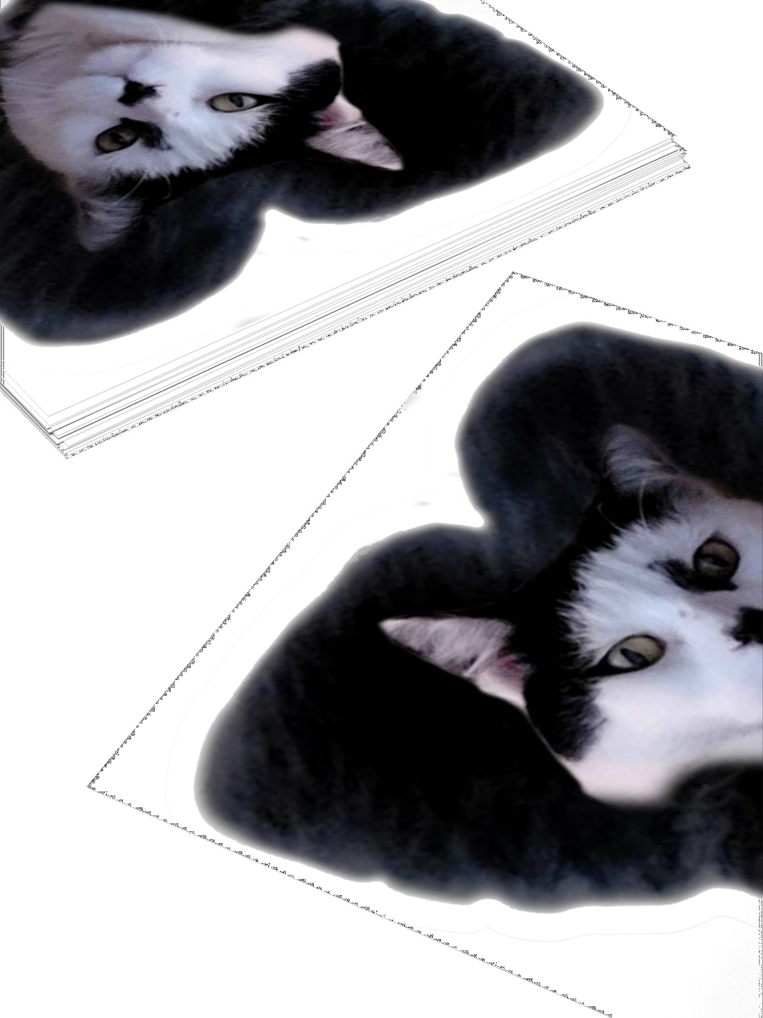 howlin42CATLUV Sticker product image (10)