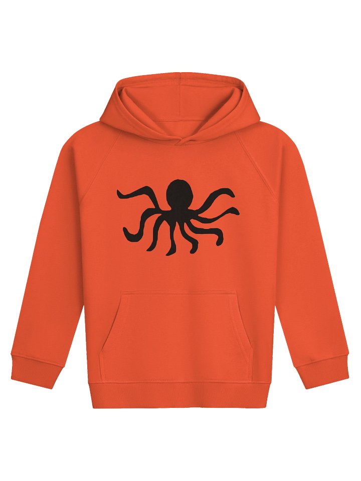 Kids hoodie product image (1)