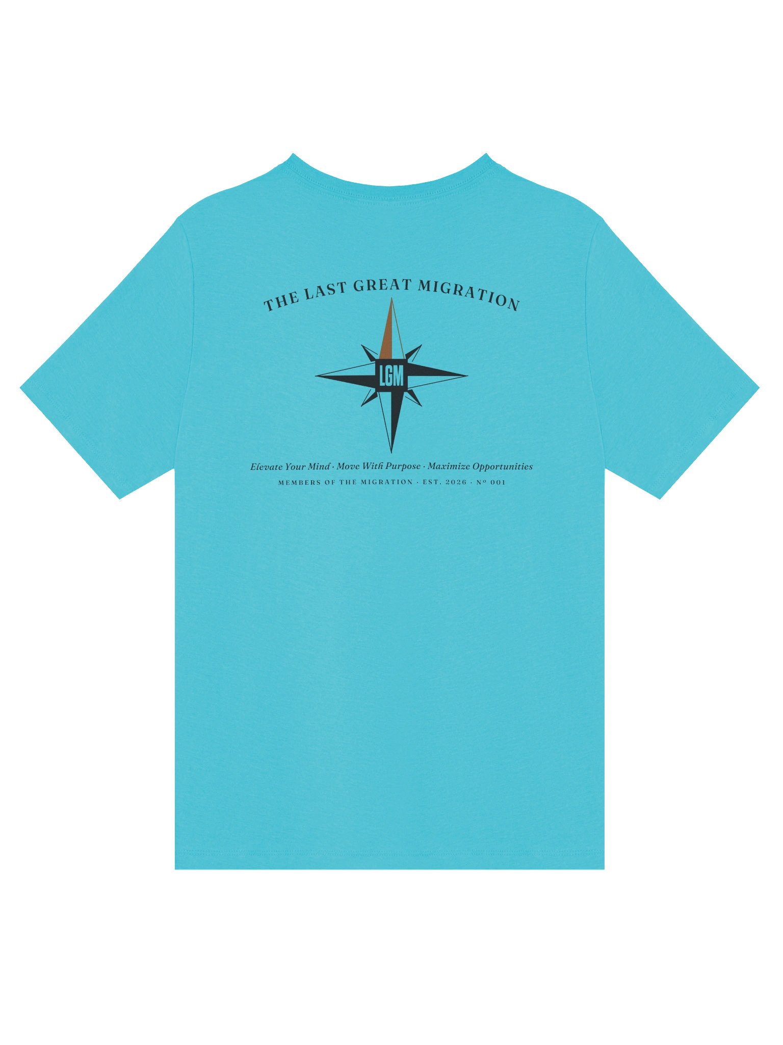 The Migration V Neck Ring Front (Women's) in Turquoise product image (2)