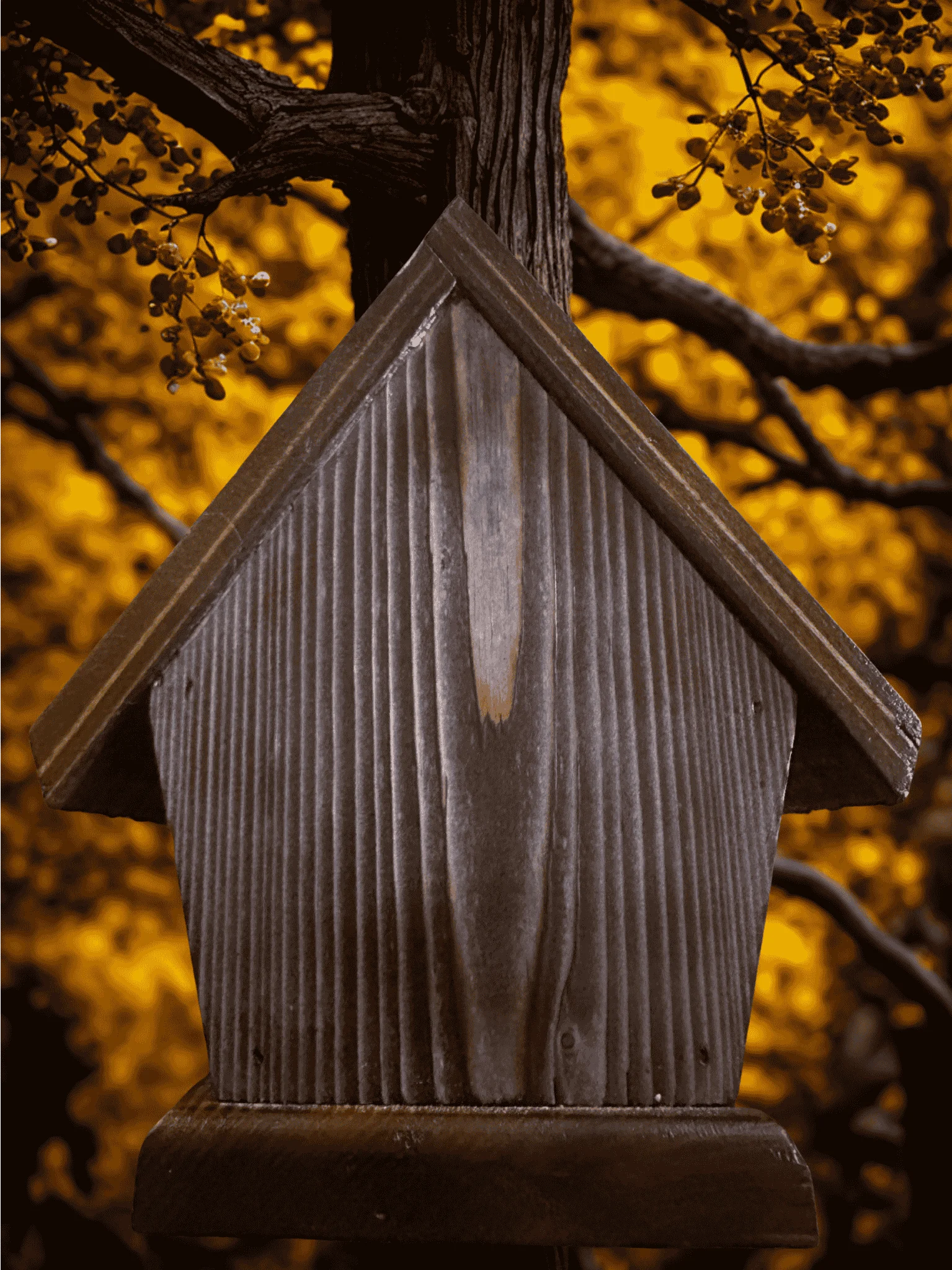 Handcrafted Chickadee & Wren House | Solid ¾” Pine Birdhouse with Copper Portal & Metal Ridge Cap | Rustic Outdoor Garden Décor product image (9)