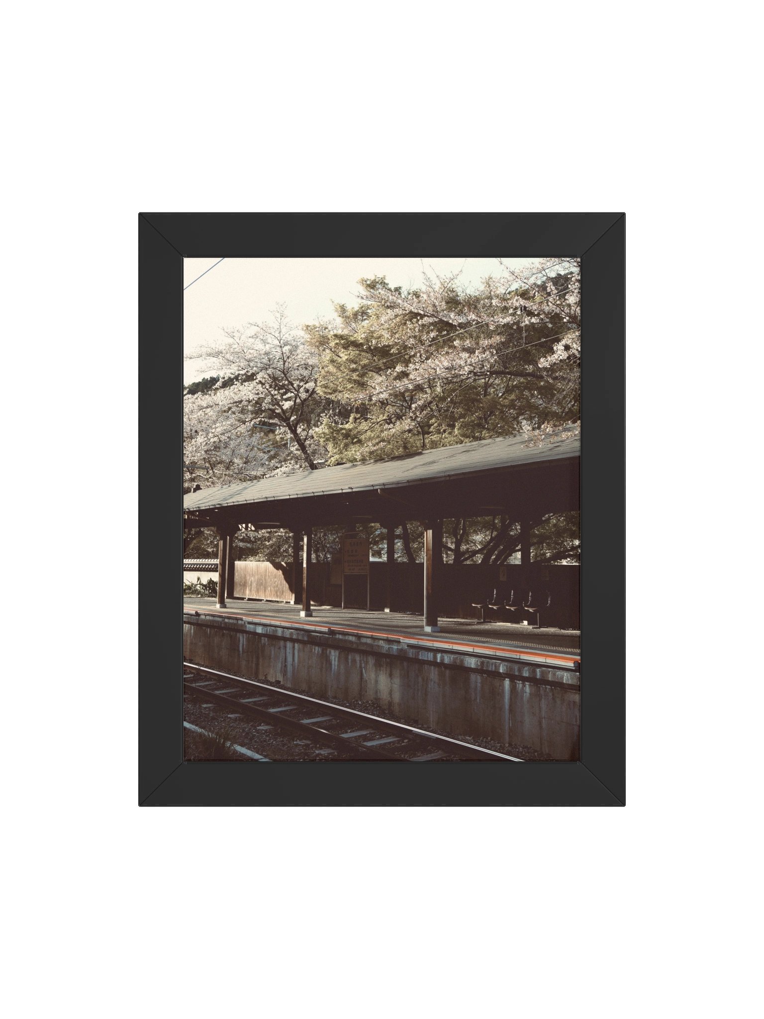 Japan Train Sation with Sakura product image (76)