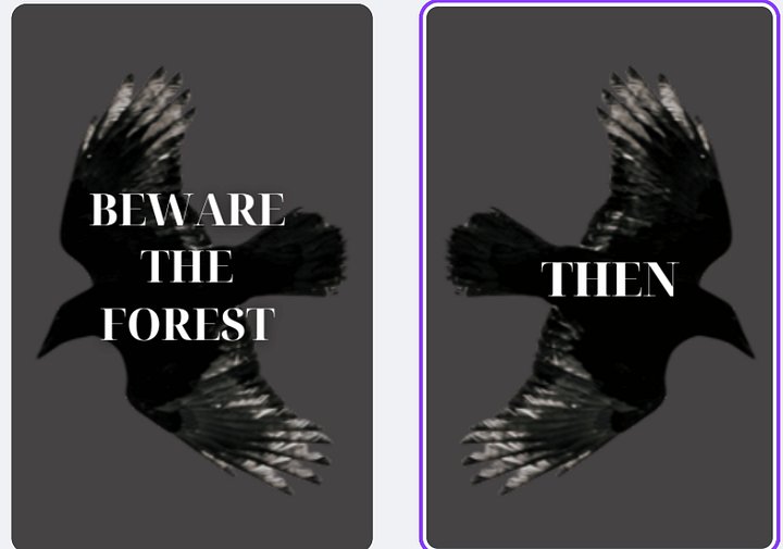 Here There Be Monsters Special Chaos Edition Paperback product image (2)