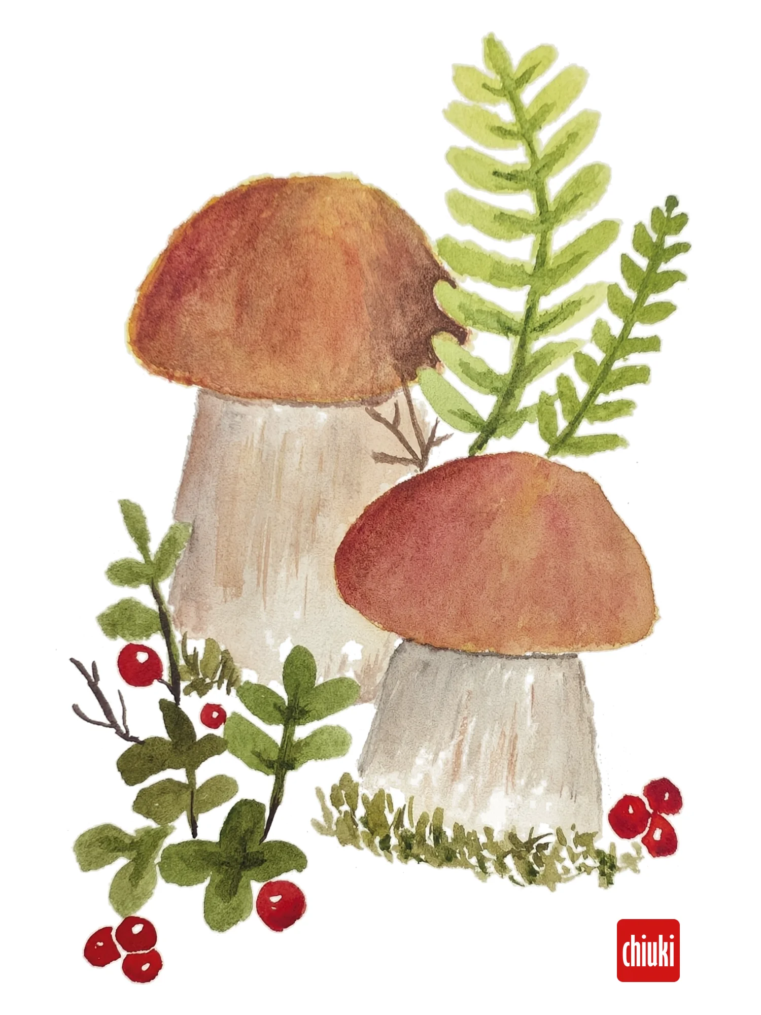Mushrooms product image (1)