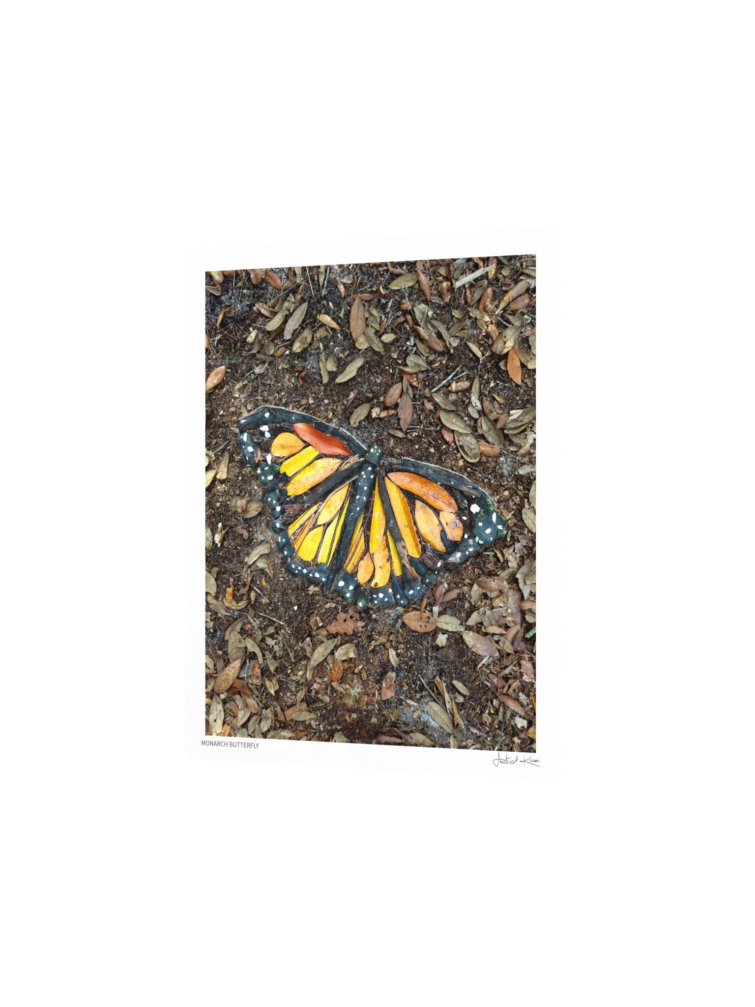 MONARCH BUTTERFLY | Nature Art Print product image (3)