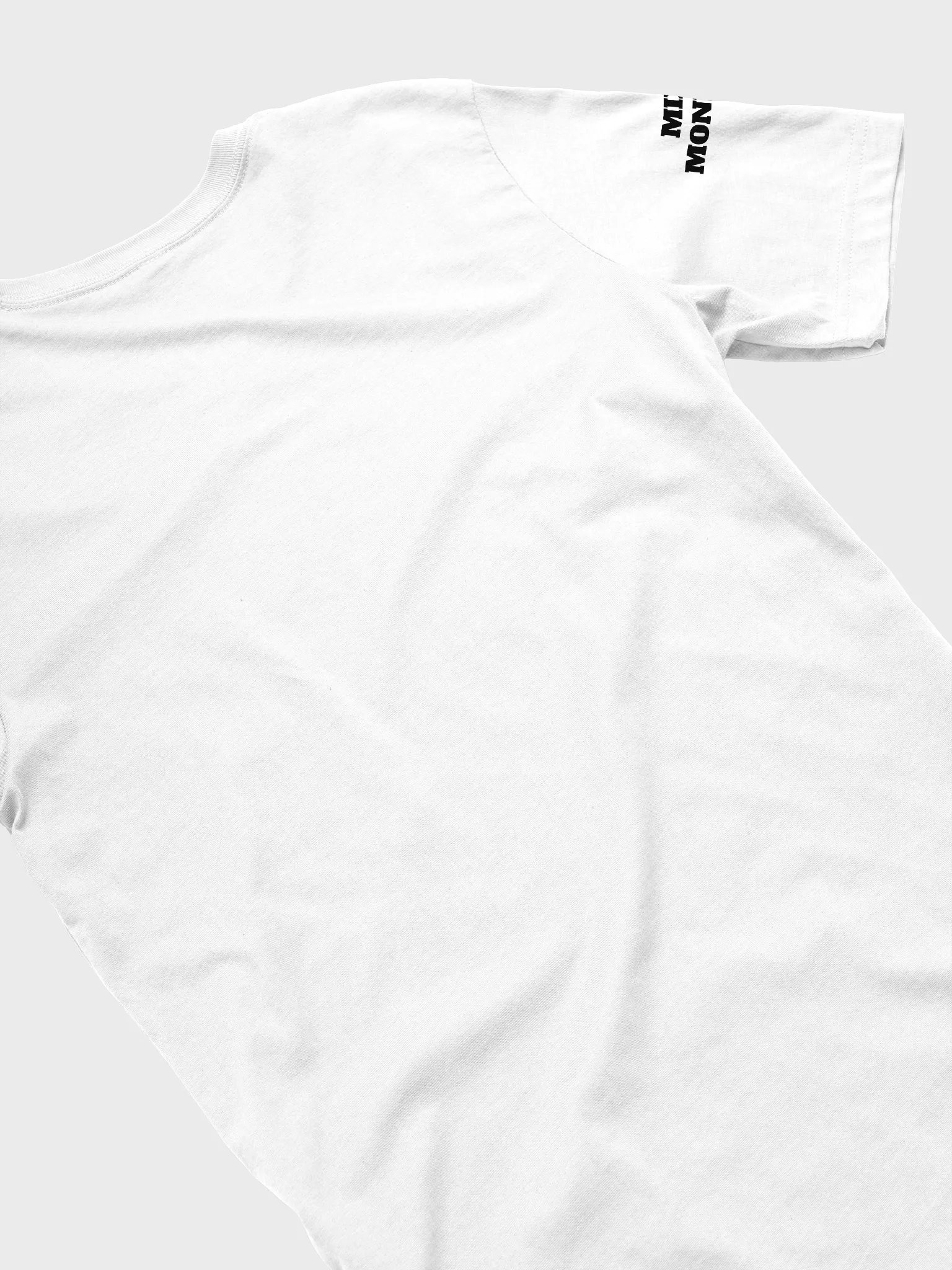 Mixy Mondays Raid Train Logo Tee - Light Colors product image (44)