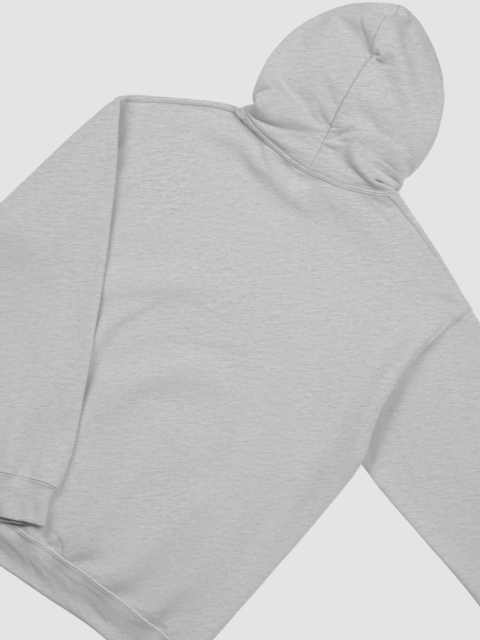 SERHANT. Florida Grey Hoodie product image (4)