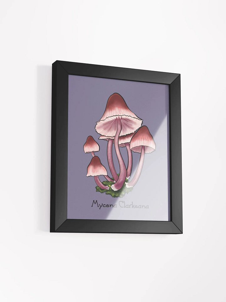 Mycena Clarkeana Botanical Study product image (5)